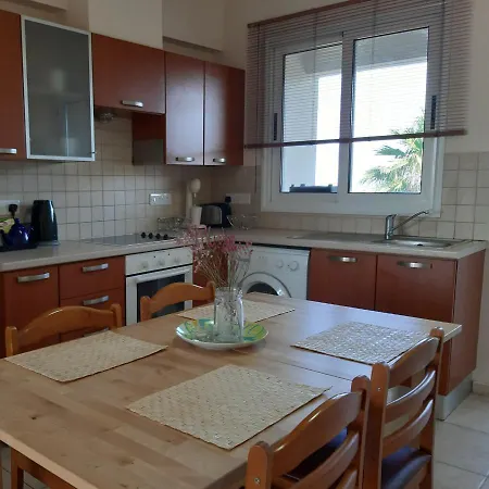 Penthouse In Tersefanou *