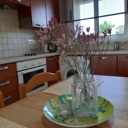 Apartment Penthouse In Tersefanou